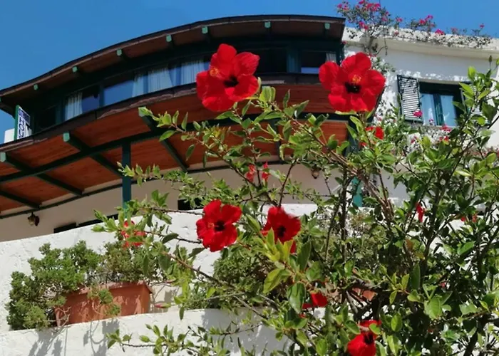 Strofi House Argoules