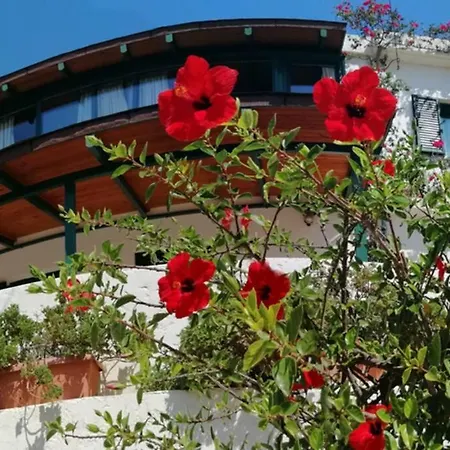 Strofi House Argoules