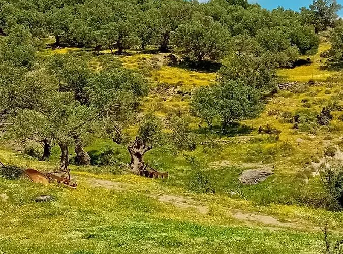 Strofi House Apartment *